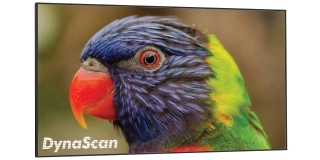 Dynascan-320x160